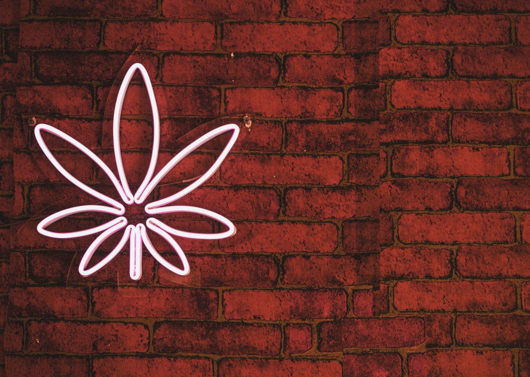 Cannabis Leaf Neon Sign